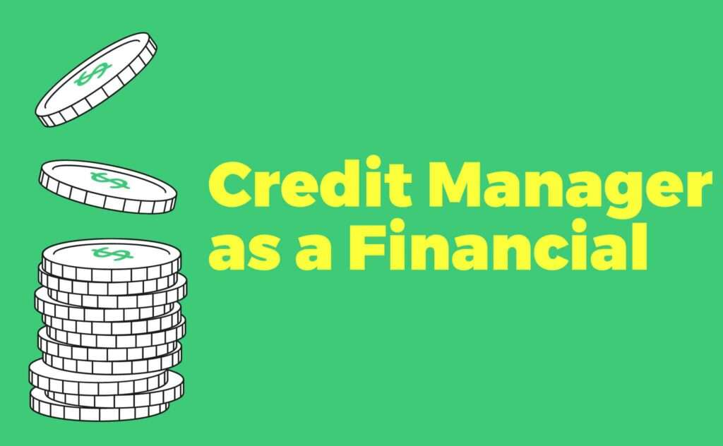 Credit Manager job description